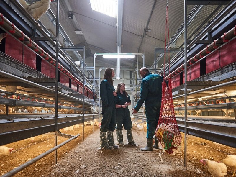 hbo studie Varkens en pluimveehouderij Aeres Hogeschool Dronten