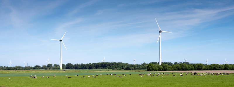 Landelijk vastgoed en makelaardij