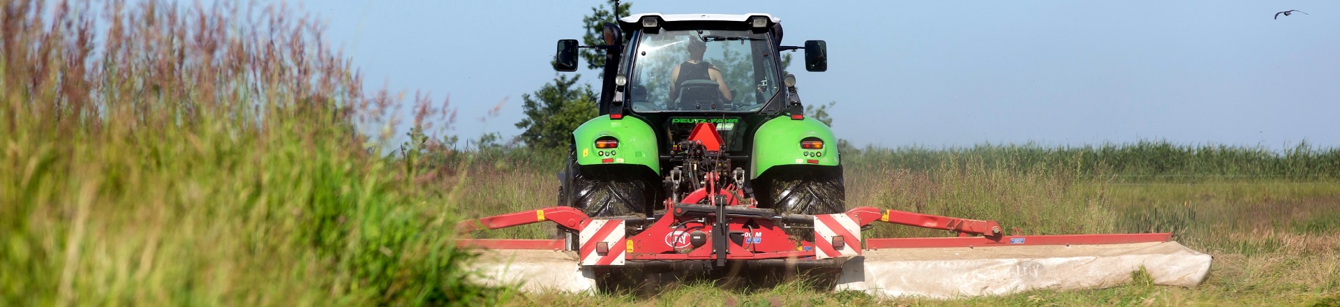 maaier studentverhaal boerbert