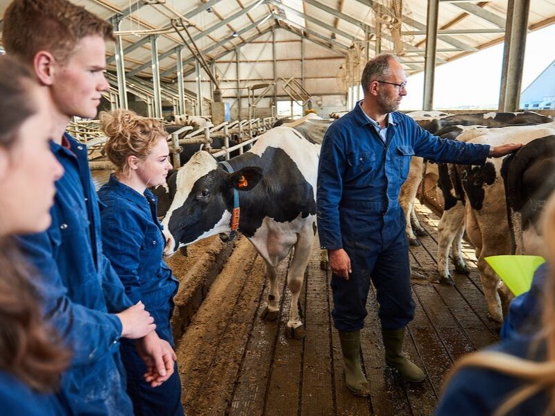 studenten en docent veehouderij in stal met koeien aeres farms aeres hogeschool dronten
