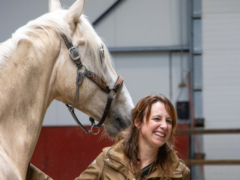Symposium onderzoek naar welzijn van coach- en therapiepaarden