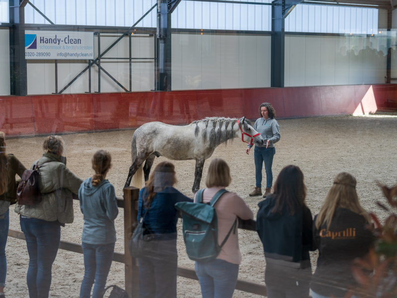 Symposium onderzoek naar welzijn van coach- en therapiepaarden