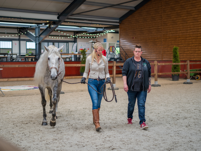 Symposium onderzoek naar welzijn van coach- en therapiepaarden