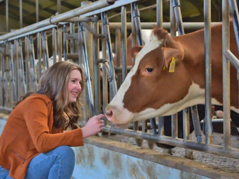 Mirthe Rolink, tweedejaars student Agrarisch Ondernemerschap Dier- en Veehouderij 