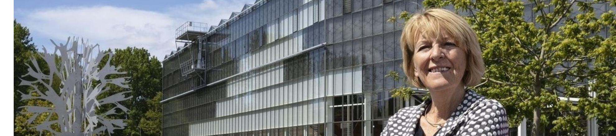 afscheid Rieke de Vlieger