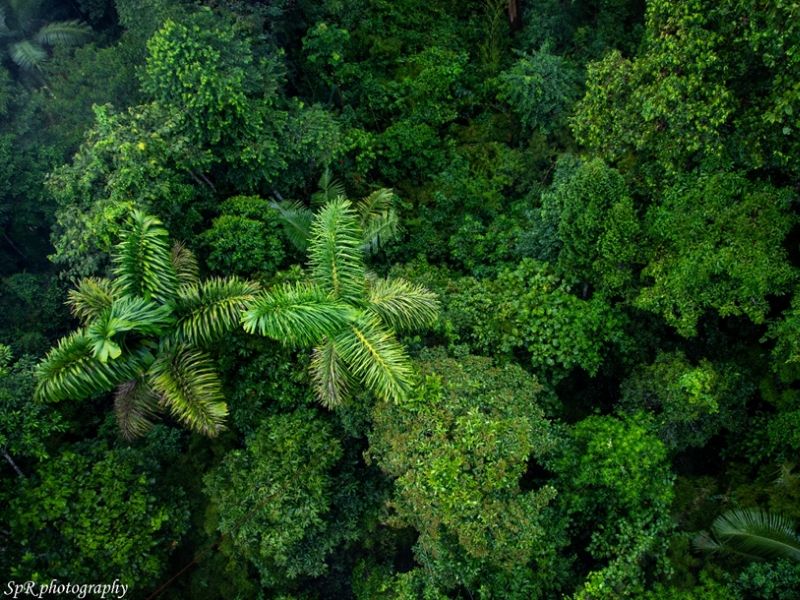 Buitenlandstage Sam COVID-19 terugreis