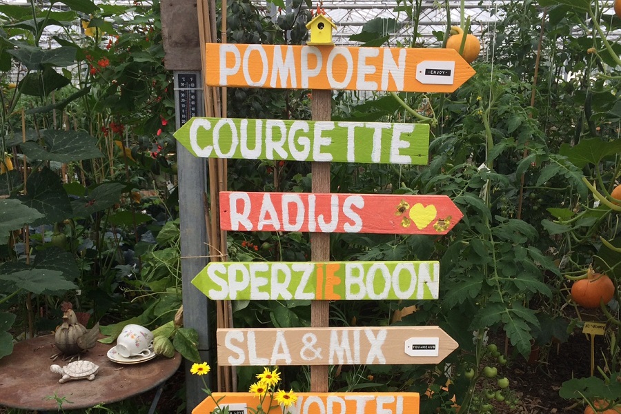 Ondernemend eten groentebord