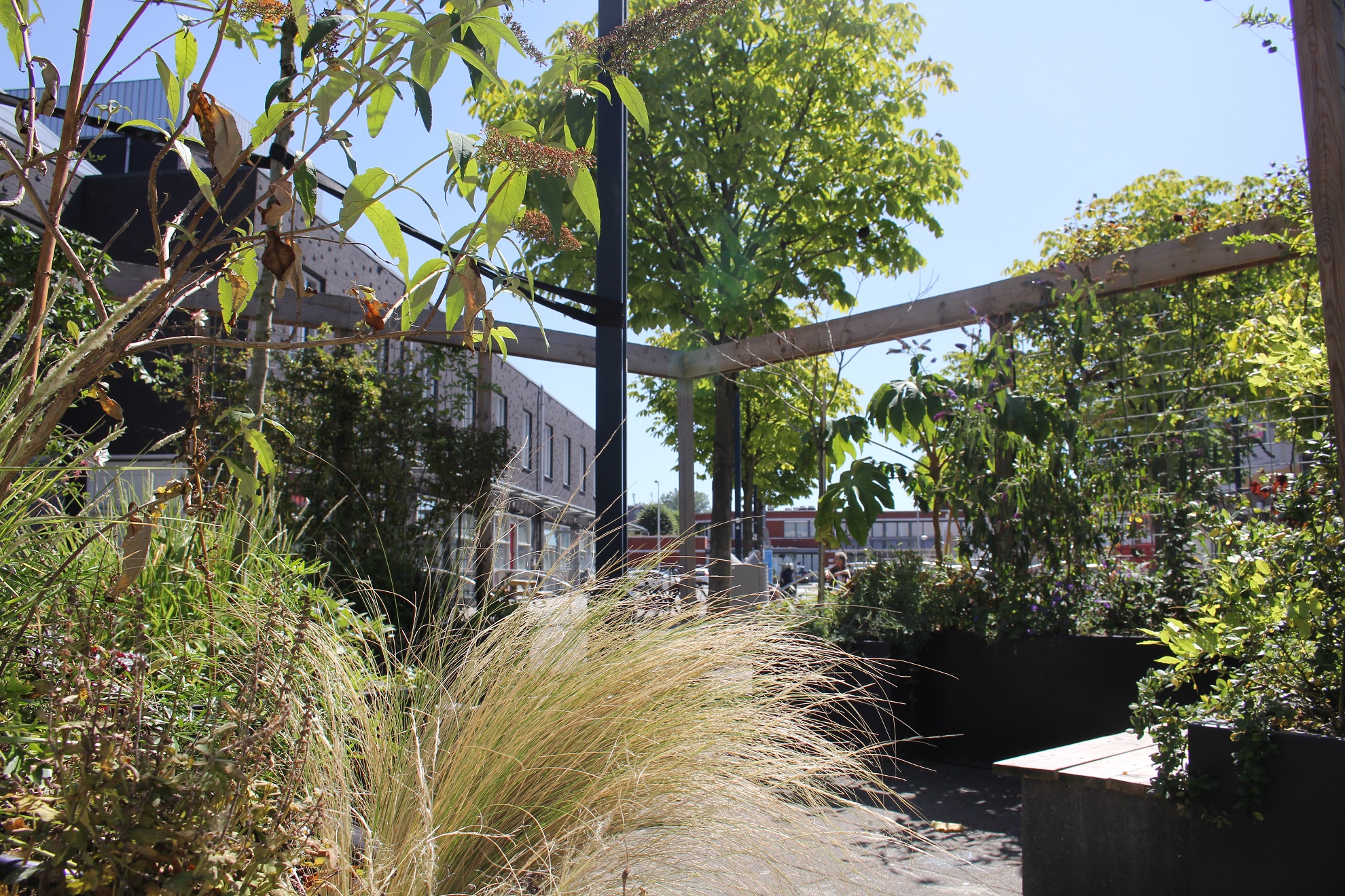 20210301 Rewilding Stepping Stones