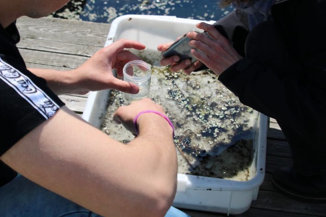 Studenten speuren naar biodiversiteit 1