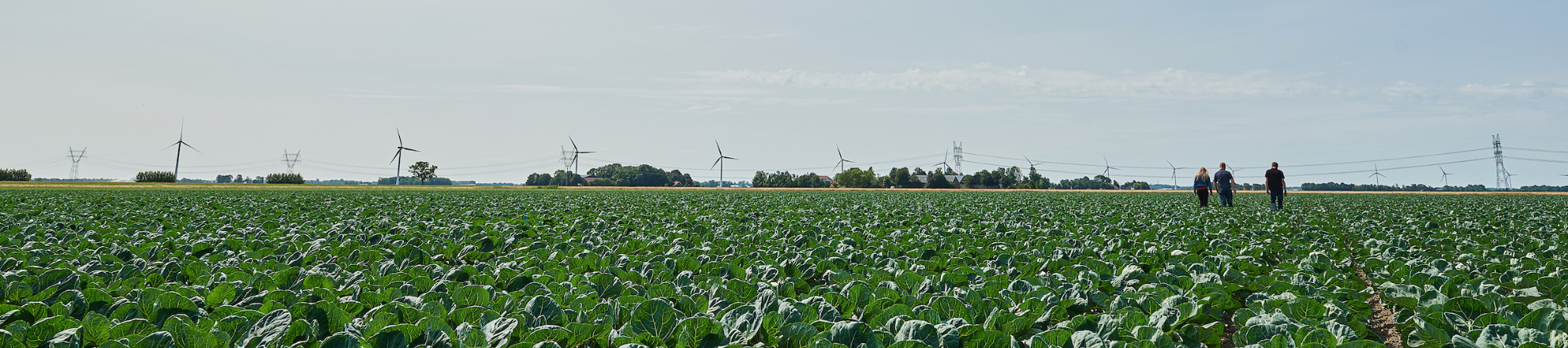 Samenwerkingsovereenkomst Aeres en Alfa