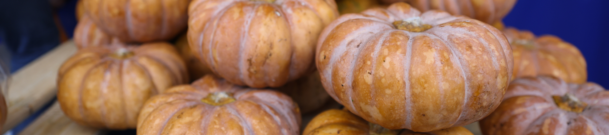 Esther Veen lector stedelijke voedselvraagstukken