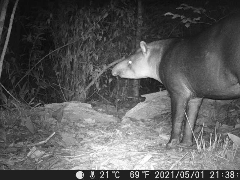 Buitenlandstage Peru Tim Mourits student Toegepaste Biologie Aeres Hogeschool Almere