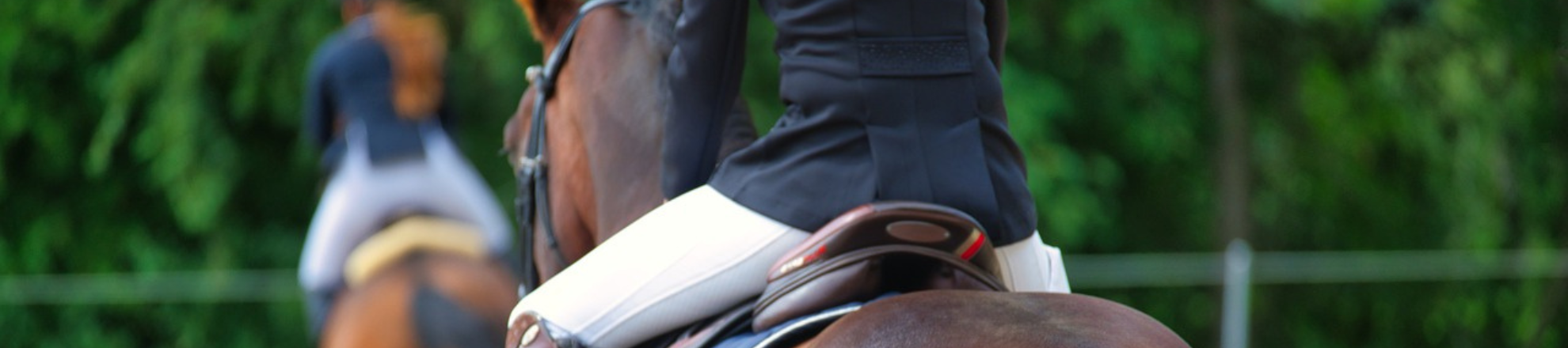 FEI Reserveert 1 Miljoen Euro voor Actieplan Ter Verbetering van Welzijn Sportpaarden