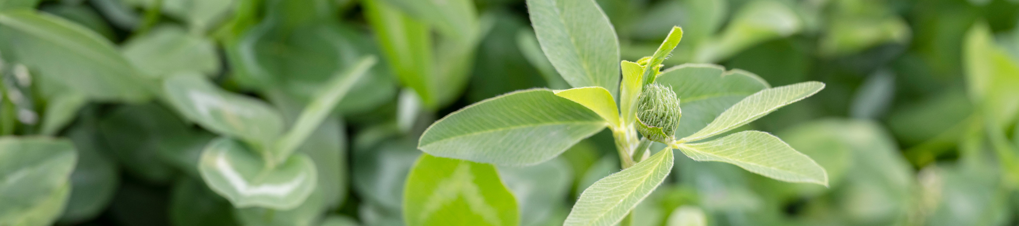 Gratis online cursus voor agrariers