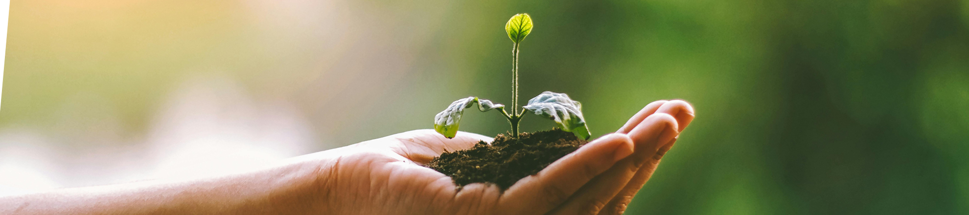 nieuwsbericht Jifke nieuwe lector