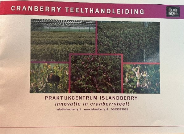 cranberry