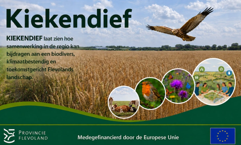 Samenwerking Provincie Flevoland, project Kiekendief