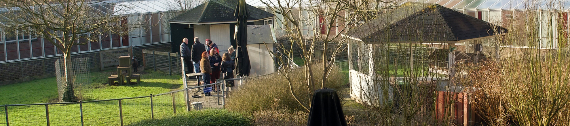 Coloriet de Regenboog