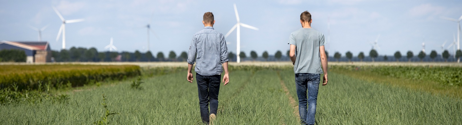 Studenten onderzoeken praktijk van bodem- en koolstofbeheer
