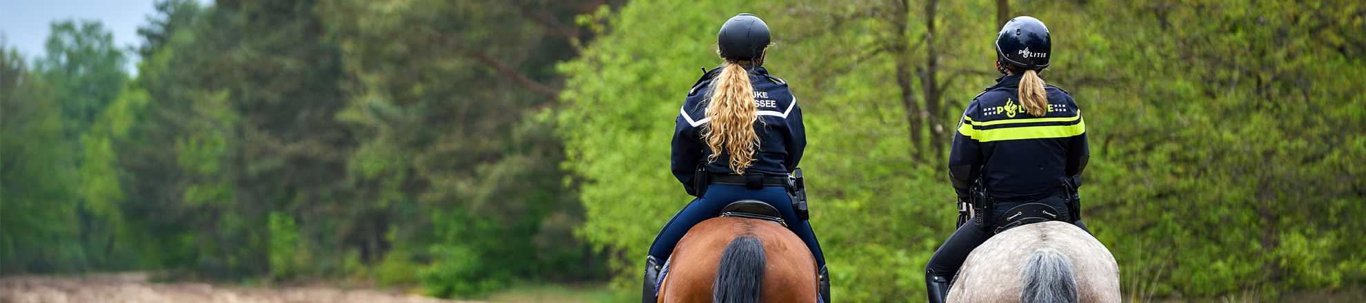 2 politieagenten te paard