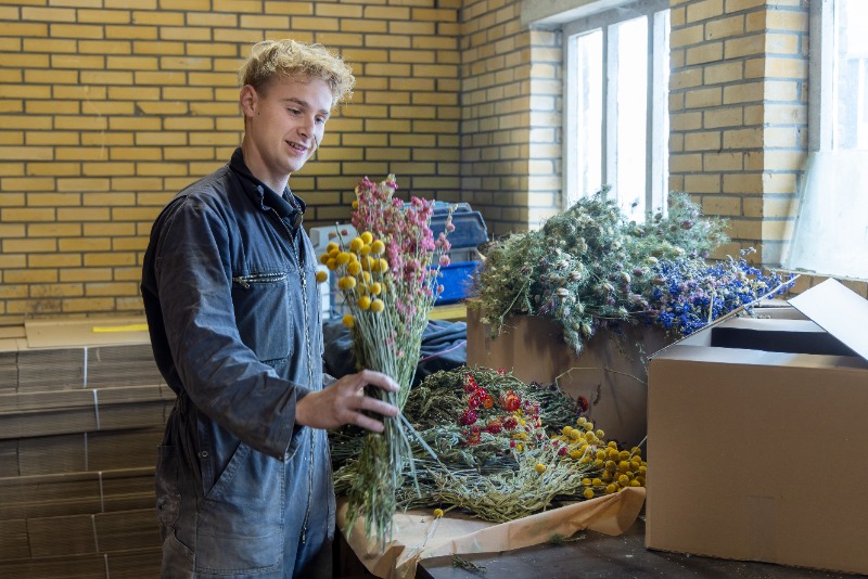 droogbloemen paul groot