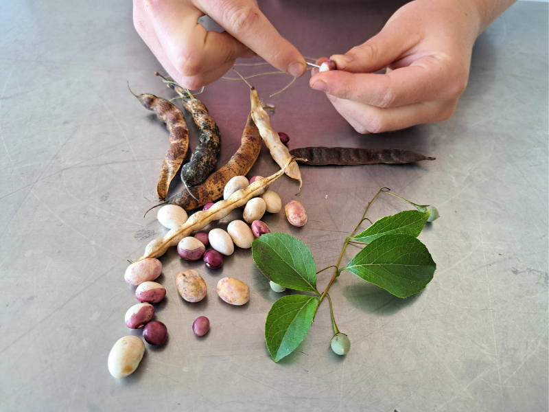 Bushcraft activiteit