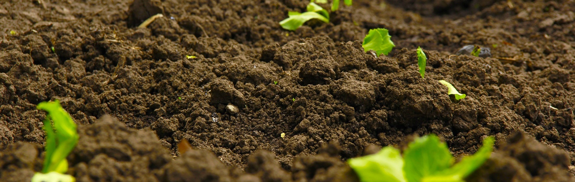 Lectoraat Duurzaam bodembeheer