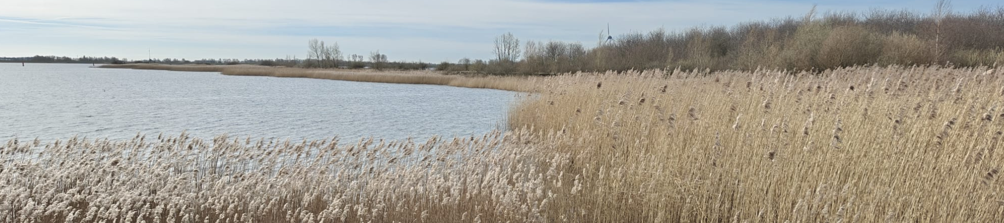 Aquatische Ecosystemen