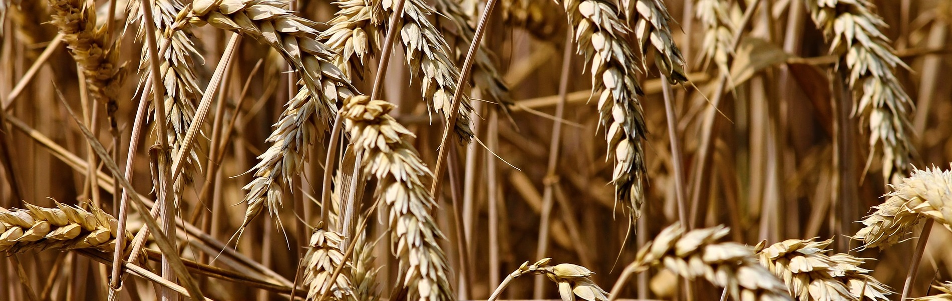 Onderzoeksprogramma Duurzaam ondernemen