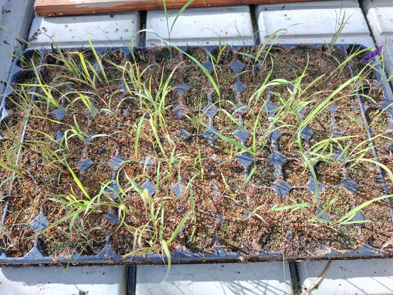 Aquatisceh Ecosystemen