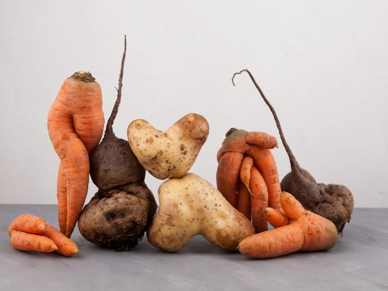 Circulair ondernemen in de agrifoodsector