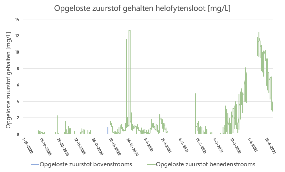 Helofytensloot