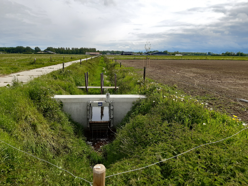 Helofytensloot