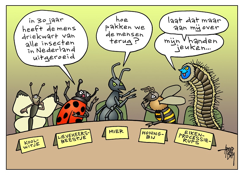 De problemen rond insecten treffend in beeld