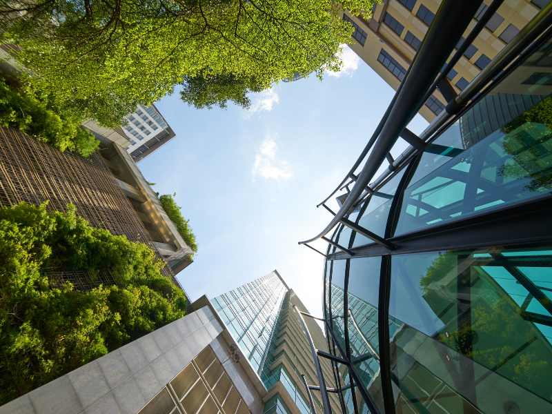 Onderzoeksprogramma Gezond leven in de groene stad