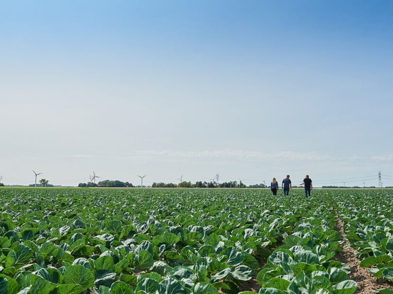 Onderzoek Aeres Hogeschool Dronten lectoraat Omgevingsinclusief ondernemen