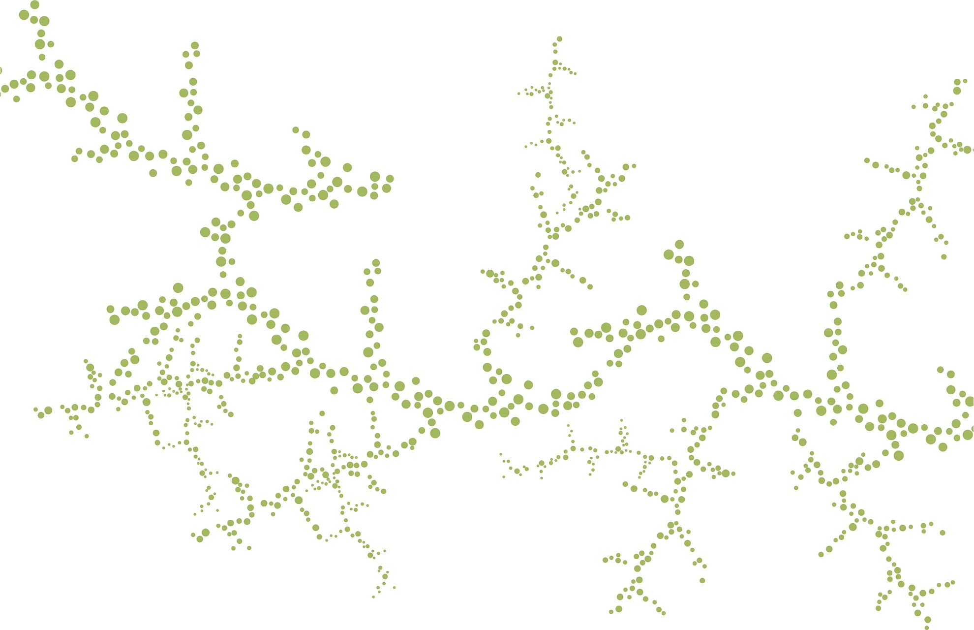 Grenspraktijken Mycorrhiza