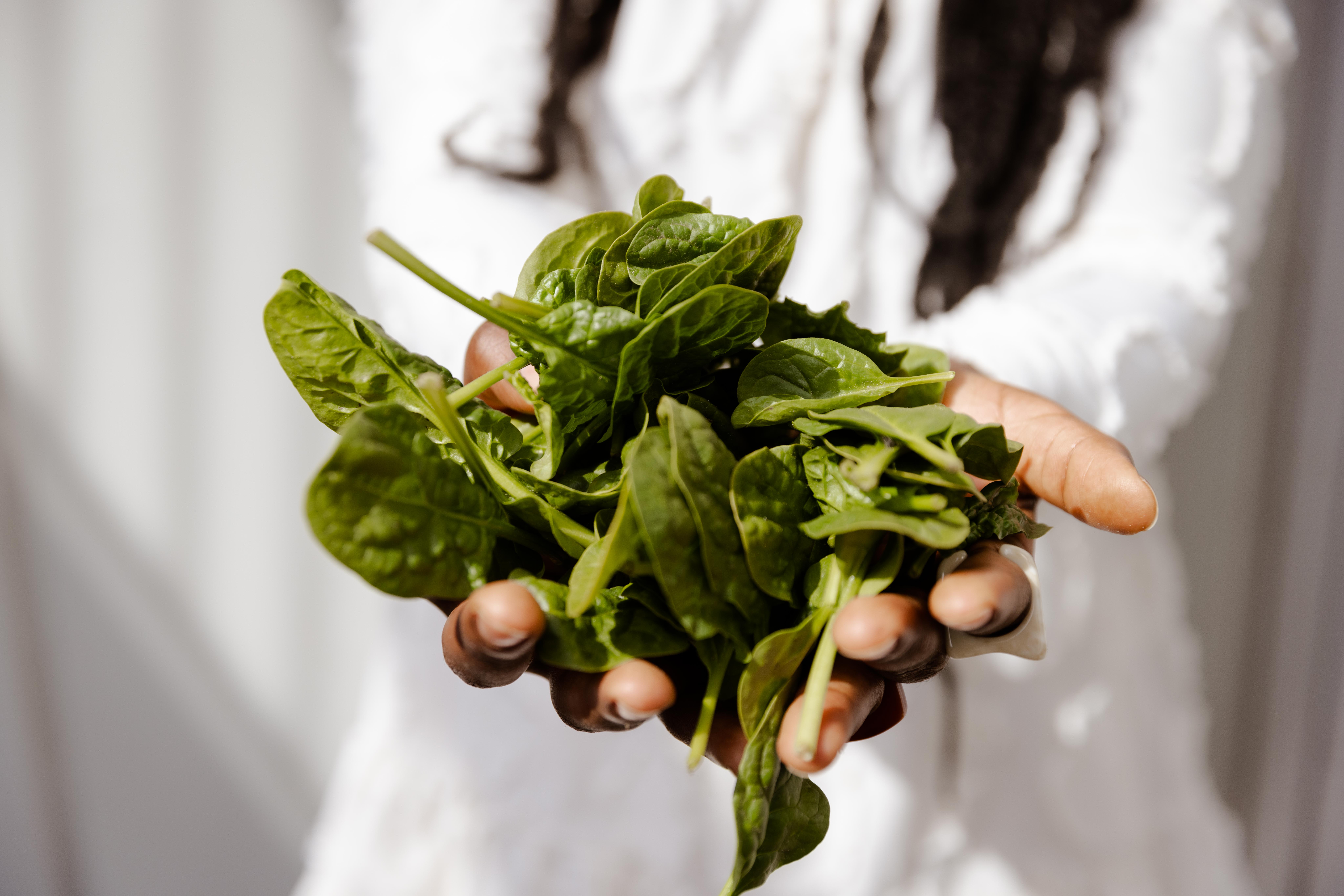 stedelijke voedselvraagstukken