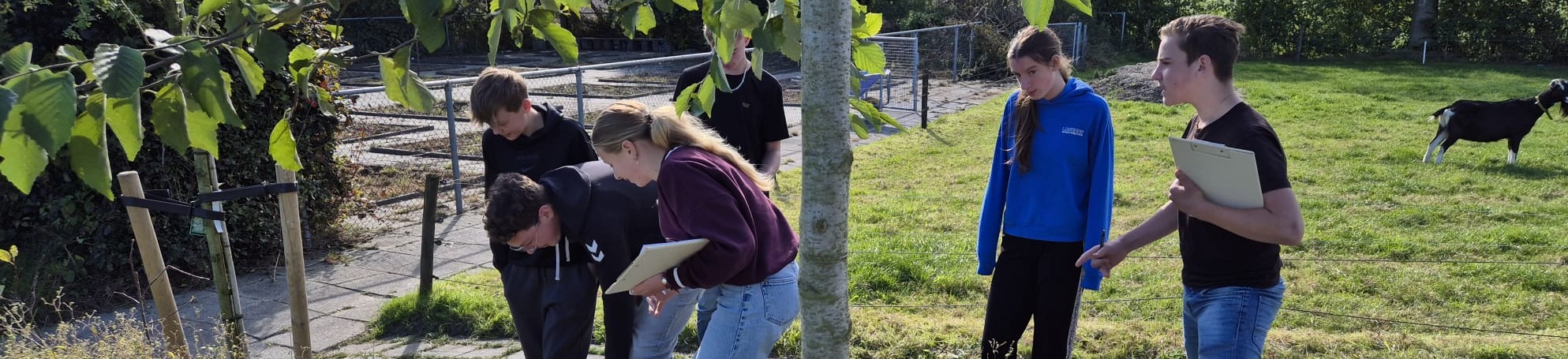 Biodiversiteitsboost onderzoek