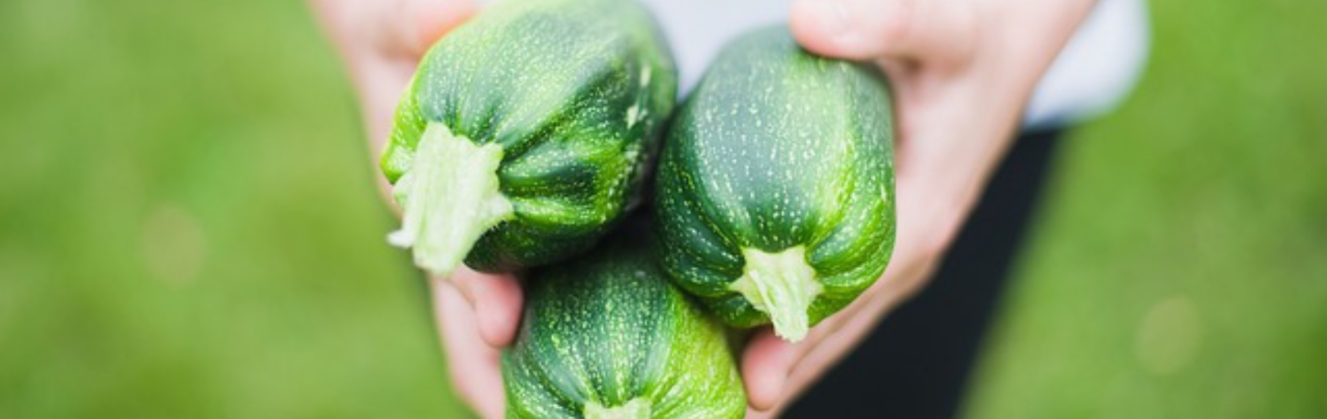 Consument zoekt boer