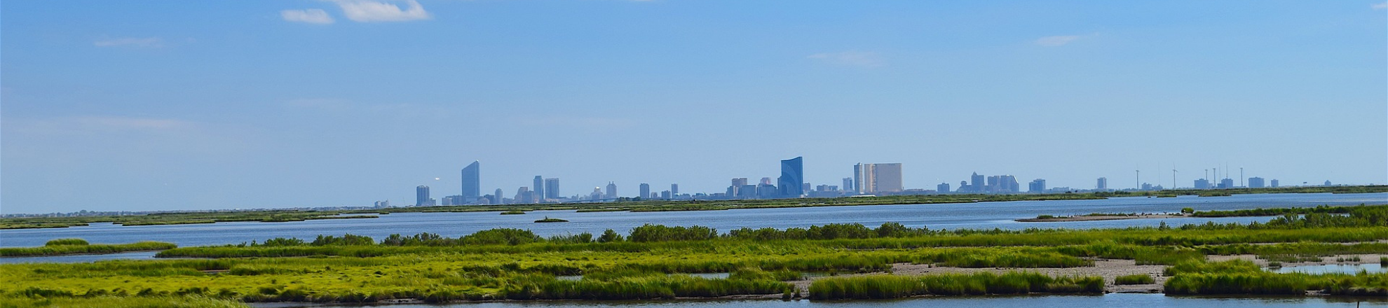 De stedelijke planning van landbouw in praktijk Oosterwold Almere skyline