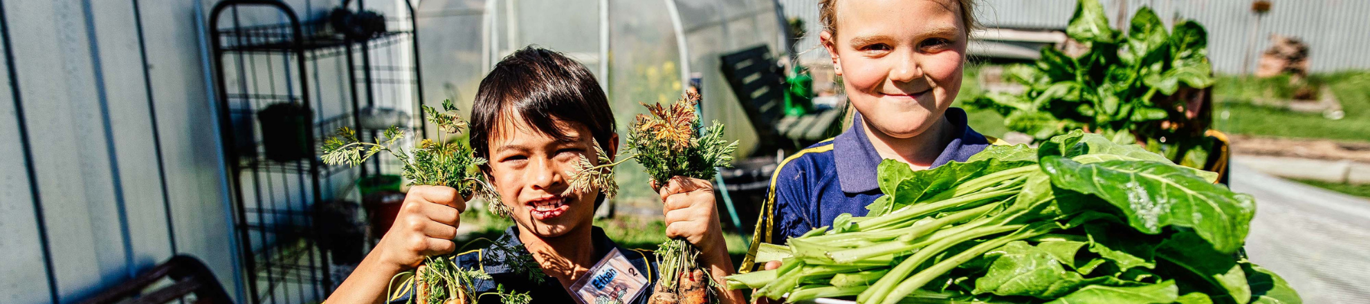 European Forum for Urban Agriculture (EFUA) project van lectoraat Stedelijke Voedselvraagstukken Aeres Hogeschool Almere
