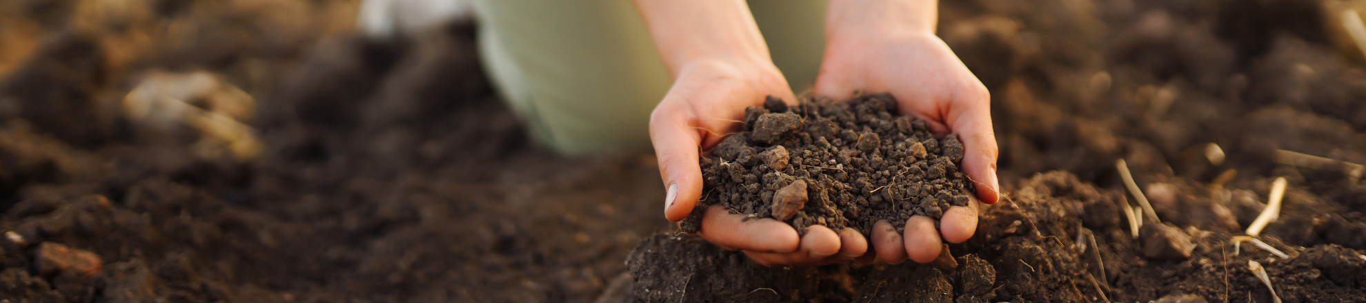 Duurzaam bodembeheer combineren met koolstofvastlegging 
