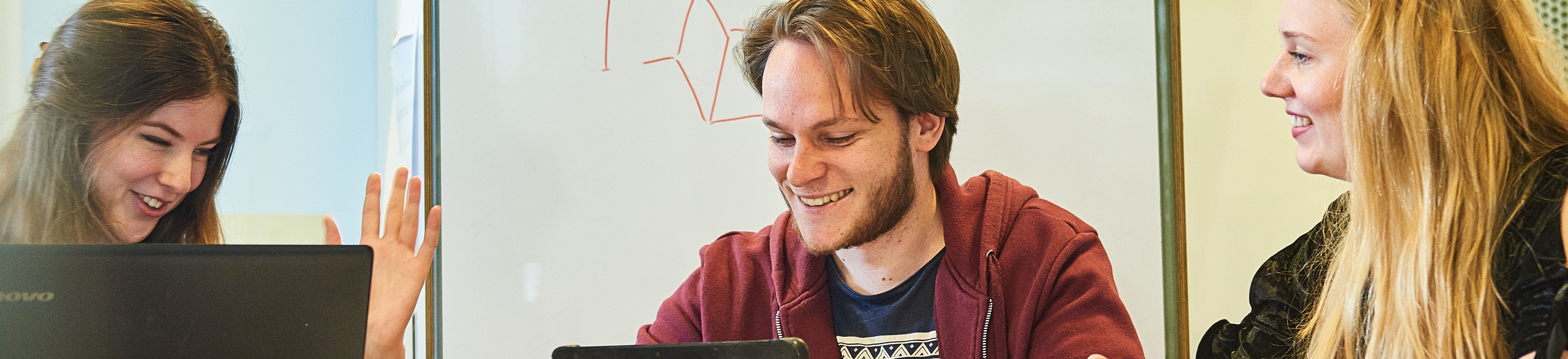 Netwerkkracht in transities