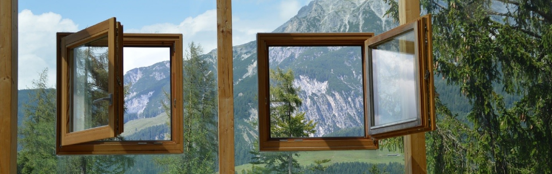 Professioneel Framen