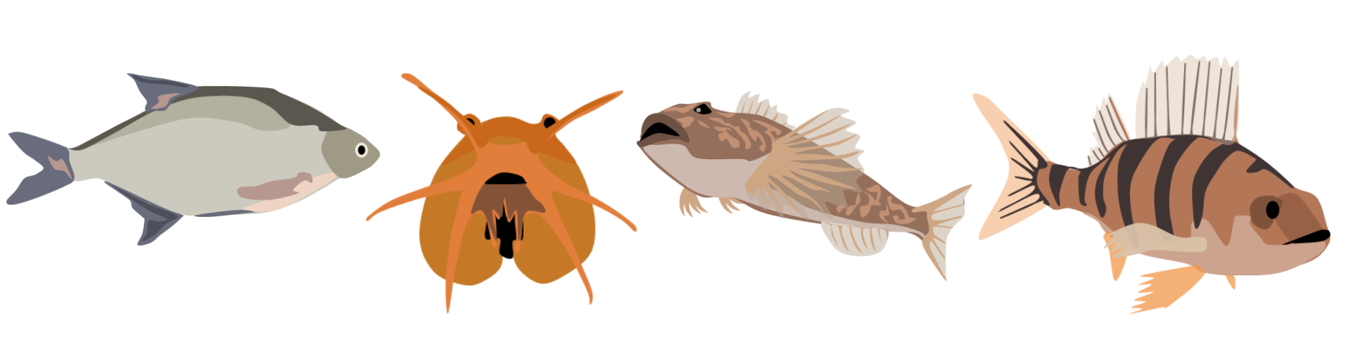 Projectpagina EDNA Marcel van den Berg