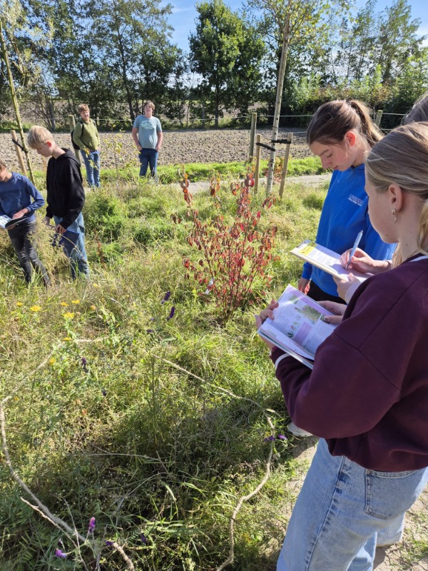 Biodiversiteitsboost