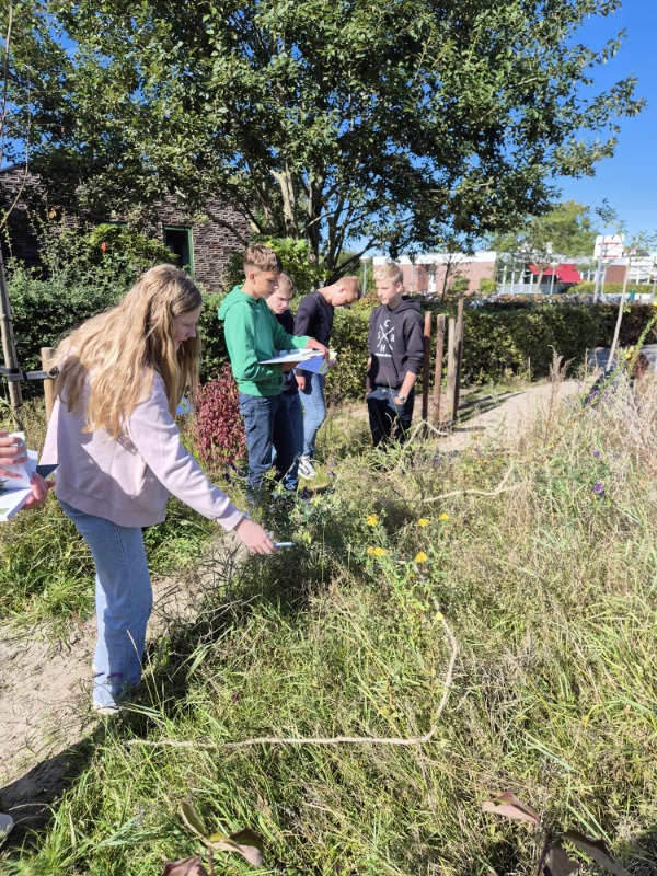Biodiversiteitsboost