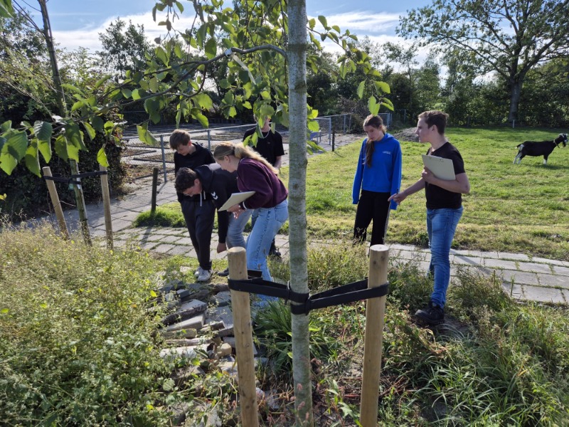 biodiversiteitsboost