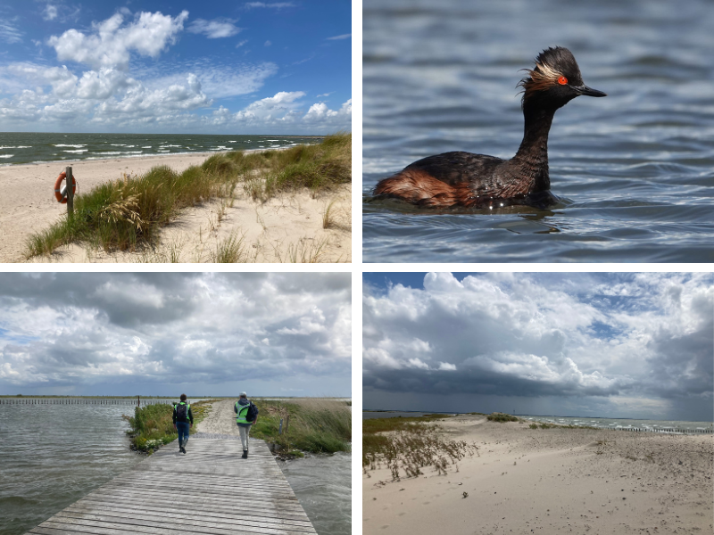 Collage foto's Marker Wadden